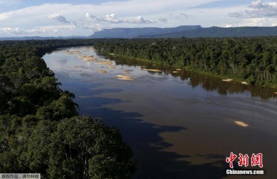 資料圖：亞馬孫雨林內(nèi)的河流。
