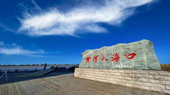 △黃河入?？谖挥谏綎|東營市墾利區(qū)。(總臺(tái)央視記者彭漢明拍攝)