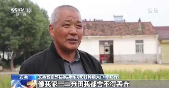 十八連豐！秋收近九成 我國糧食產(chǎn)能穩(wěn)步提升