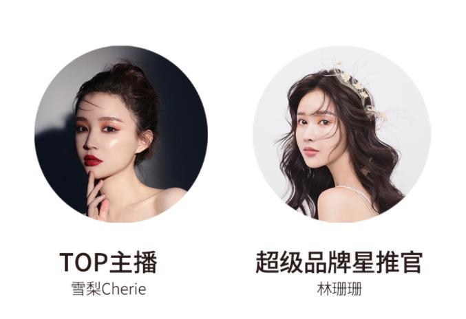 宸帆電商官網(wǎng)截圖。