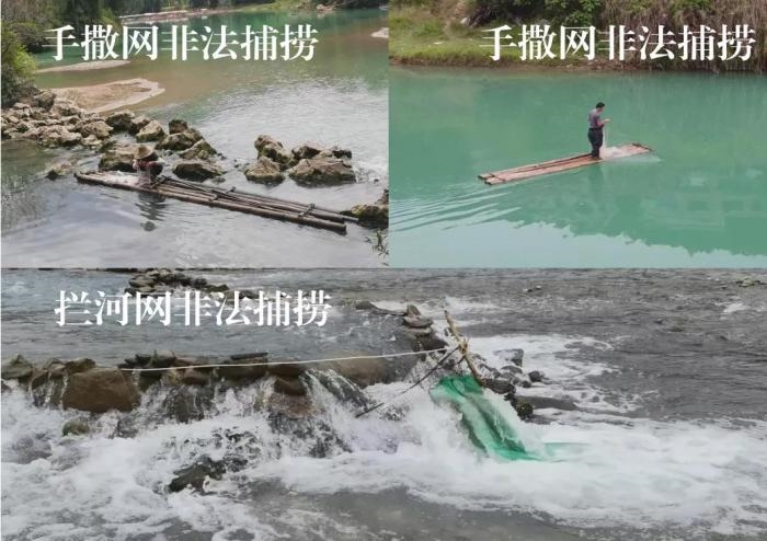 2021年9—10月，前期暗查發(fā)現(xiàn)，保護(hù)區(qū)核心區(qū)內(nèi)非法捕撈行為十分猖獗