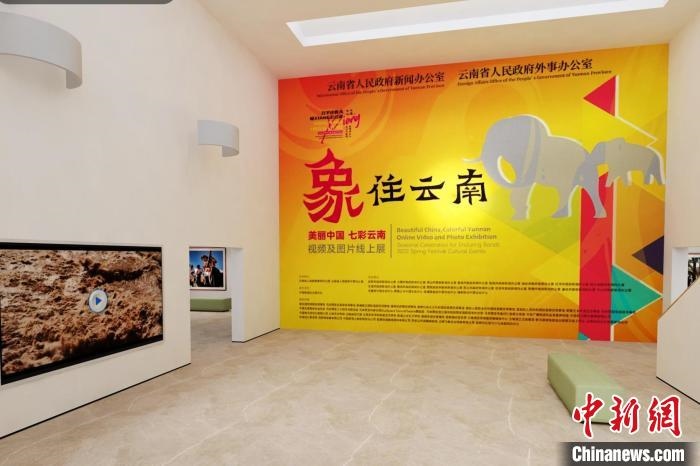 圖為“象”往云南——美麗中國 七彩云南視頻及圖片線上展截圖?！『h航 攝