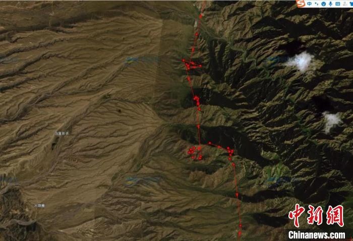圖為雪豹故地重游來到放歸地的足跡。　內蒙古賀蘭山國家級自然保護區(qū)供圖