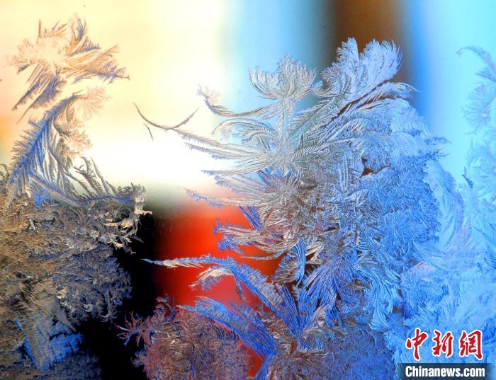 冰窗花千姿百態(tài)?！O書程 攝