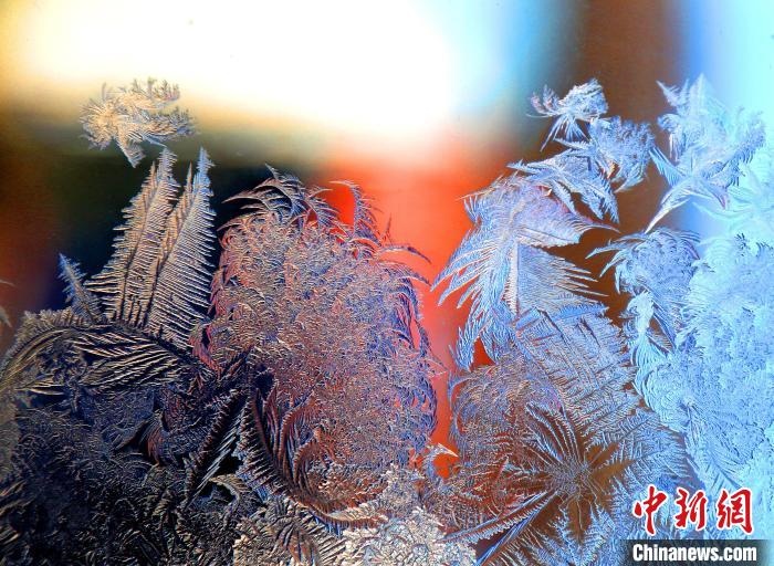 惟妙惟肖的冰窗花，似一幅風(fēng)景畫?！O書程 攝