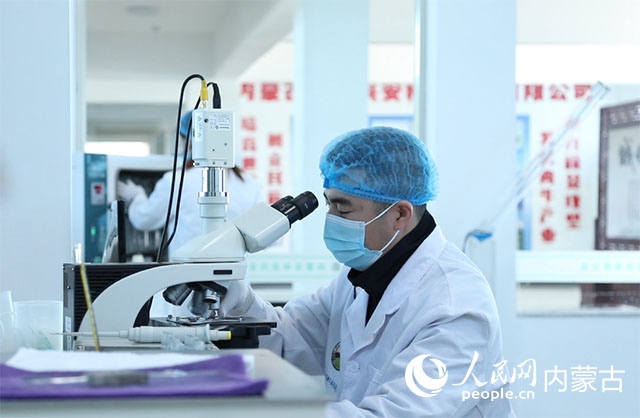 內(nèi)蒙古中農(nóng)興安種?？萍加邢薰韭鋺艨朴抑衅欤瑸槿馀．a(chǎn)業(yè)發(fā)展提供了優(yōu)質(zhì)的種源保障。白俊華攝