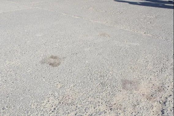 1599788797772501.jpg 微信圖片_20200911094606.jpg