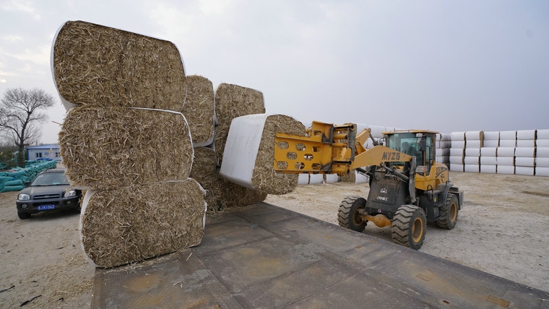 1615455858410360.jpg DSC01414_副本.JPG