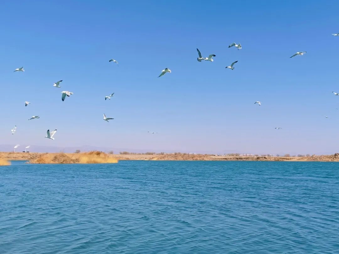 1648610520968946.jpg 微信圖片_20220330104210.jpg