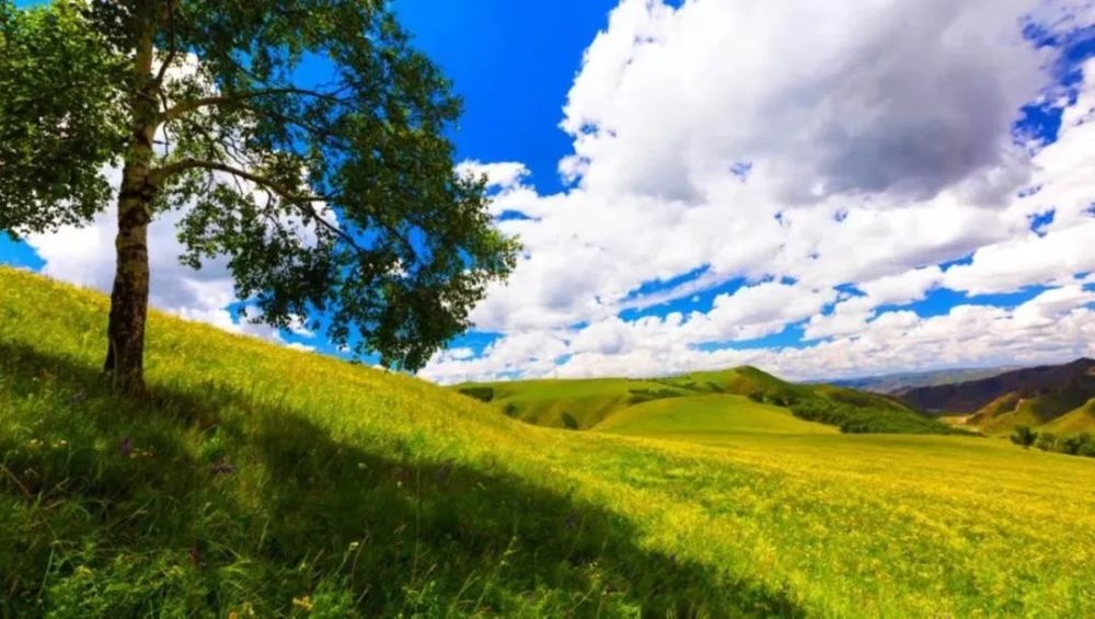 1652671493111839.jpeg E3C01EF53934E4A2326E1184699C52C9.jpeg