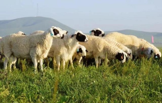 1721624708379325.png 77084ab8c701a50e0b5495b3362893491268.png