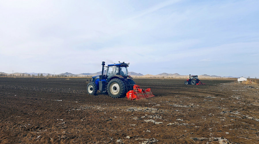 1736738933695522.jpg 3 (1).jpg