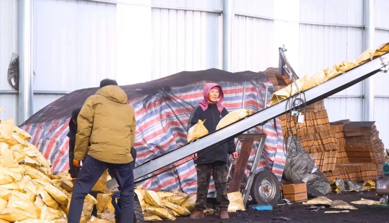 1738899792179098.png 圖片1.png