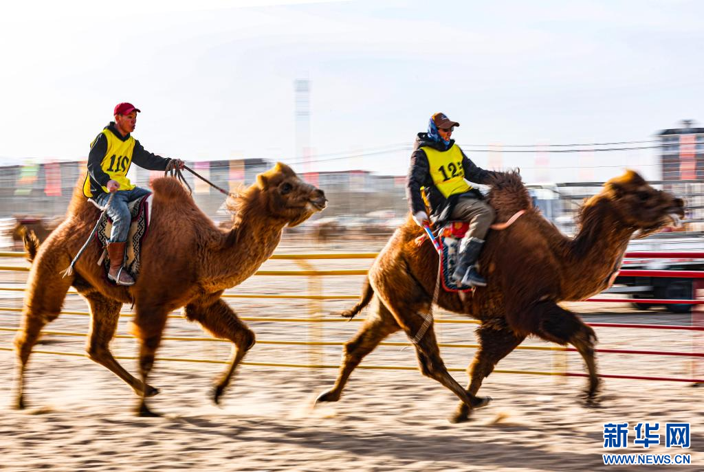 3月7日，賽駝手在6000米成年駱駝場地速度賽比賽中.jpg
