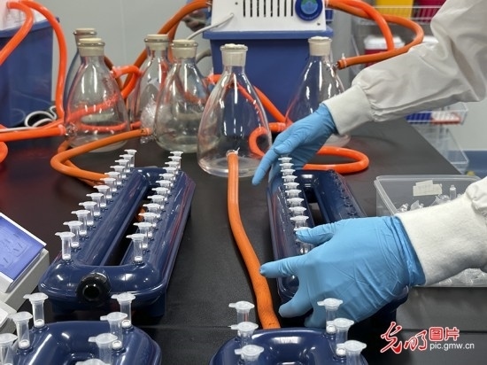 【高質(zhì)量發(fā)展看中國】基因遞送排頭兵 可實(shí)現(xiàn)“個性化”定制