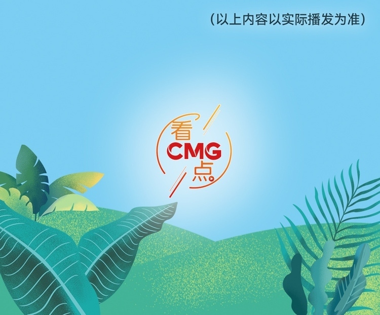 總臺(tái)周看點(diǎn)，來了！