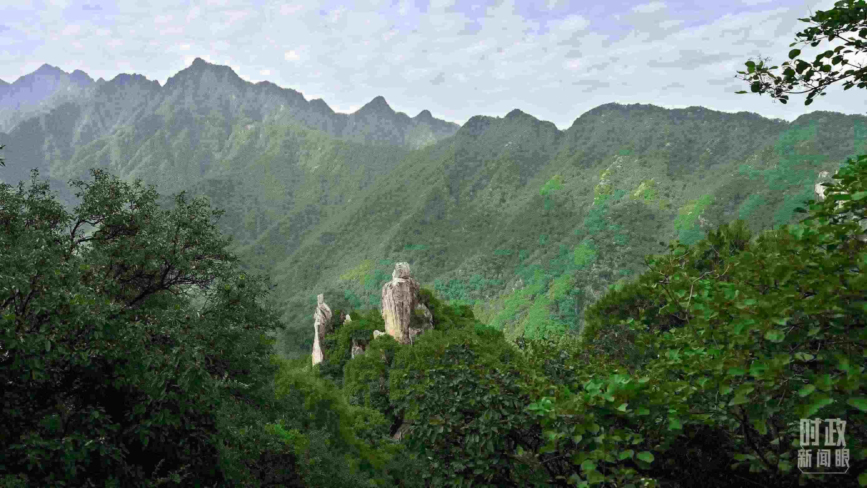 △秦嶺。（圖／視覺中國(guó)）