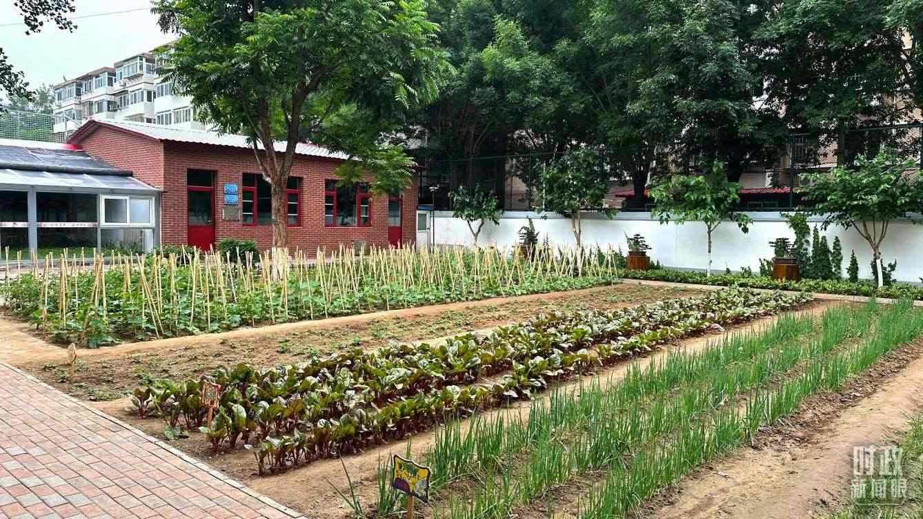 △學生農(nóng)場。（總臺央視記者趙化拍攝）