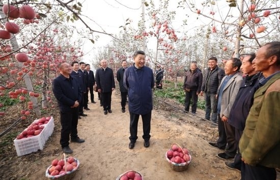 2022年10月26日，習(xí)近平總書記在陜西省延安市安塞區(qū)高橋鎮(zhèn)南溝村蘋果園同老鄉(xiāng)們親切交流。
