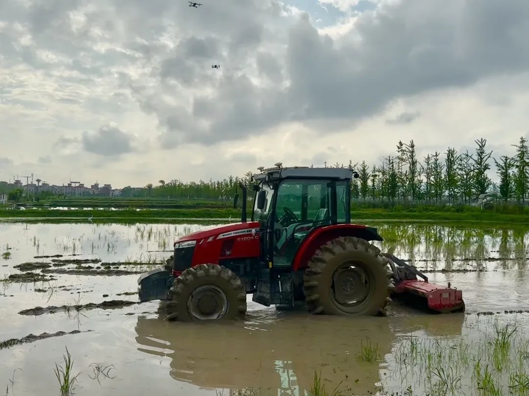 浙江省金華市東陽市城東街道寀盧村的一臺(tái)無人駕駛耕地機(jī)。靜玄 攝