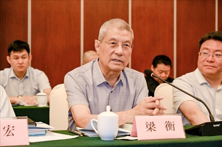 中國林業(yè)生態(tài)作家協(xié)會(huì)名譽(yù)主席梁衡發(fā)言。主辦方供圖