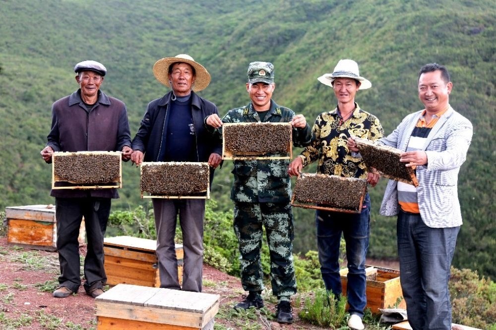 ↑武警四川總隊涼山支隊精準(zhǔn)幫扶昭覺縣梭梭拉打村發(fā)展養(yǎng)蜂產(chǎn)業(yè)，總隊駐村扶貧干部布哈（中）和村民一同展示豐收成果（2019年6月12日攝）。新華社發(fā)（楊劍 攝）