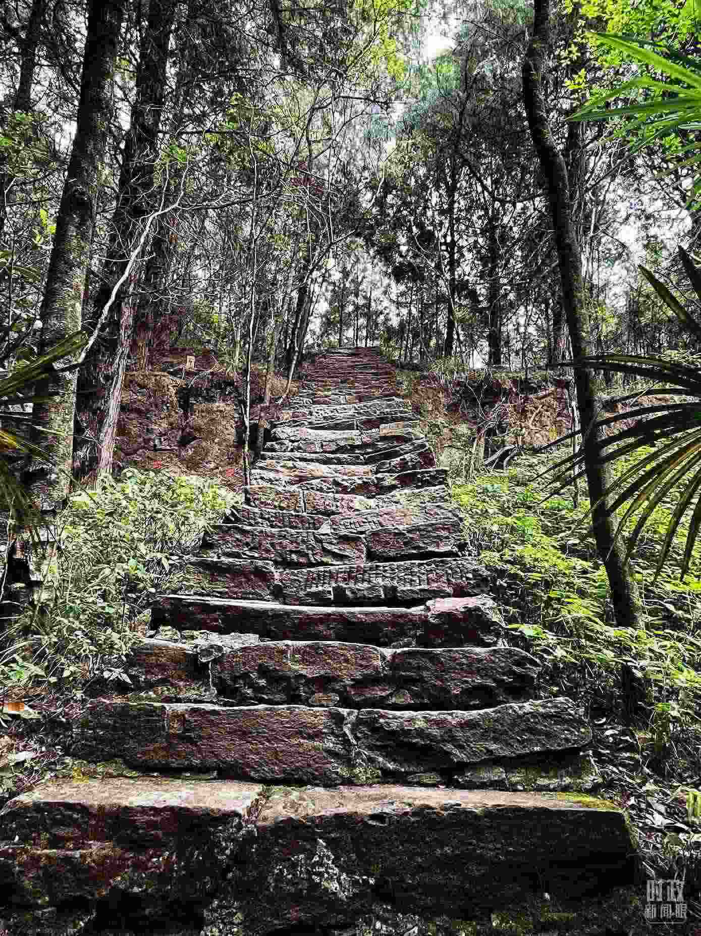 △古蜀道。（總臺央視記者郭曉龍拍攝）