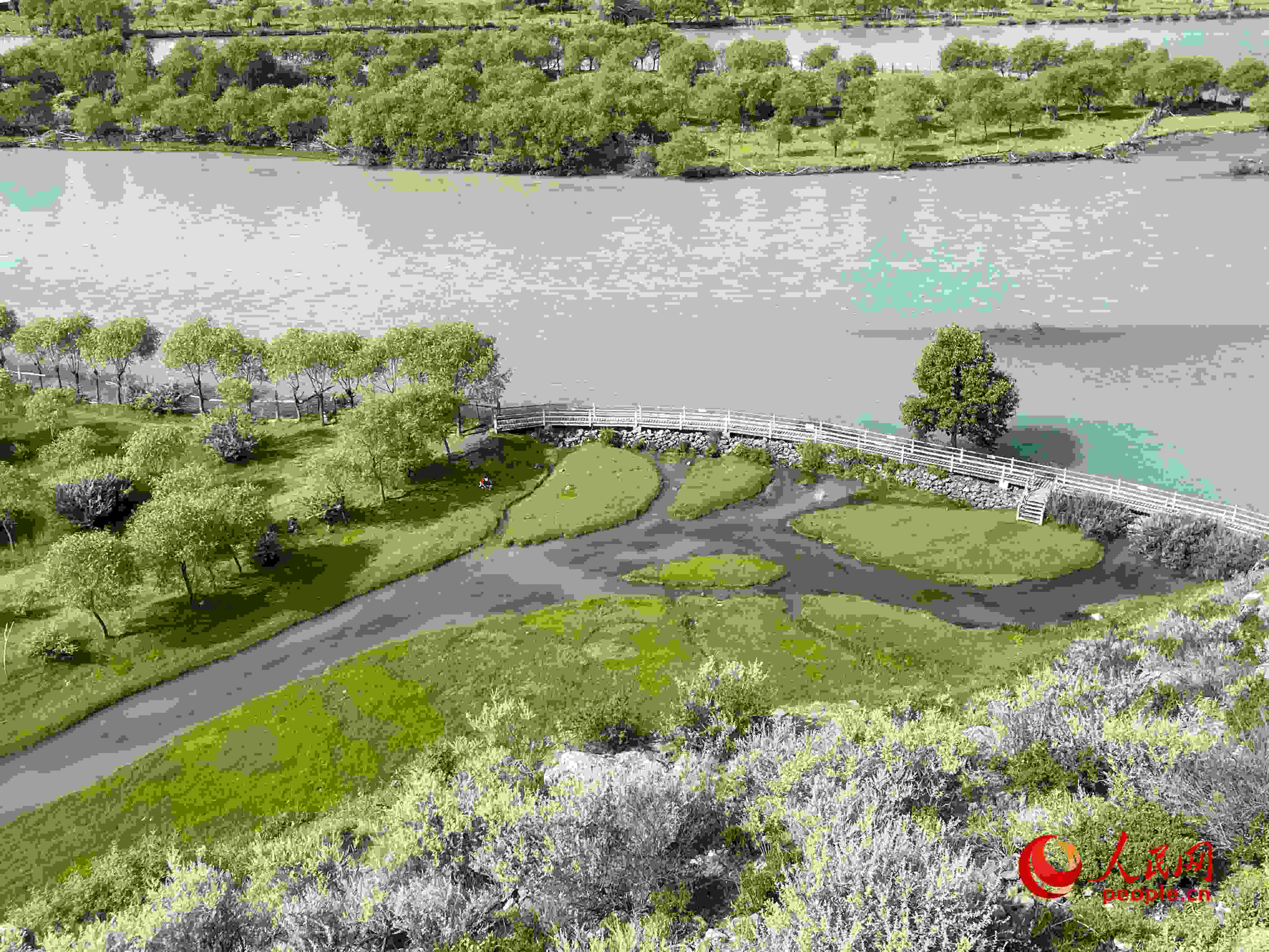 夏日的雅尼國家濕地公園生機盎然，如詩如畫。人民網(wǎng) 周靜圓攝