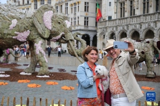 8月11日，觀眾在比利時(shí)布魯塞爾“鮮花時(shí)光”展覽上拍照。新華社記者 趙丁喆攝