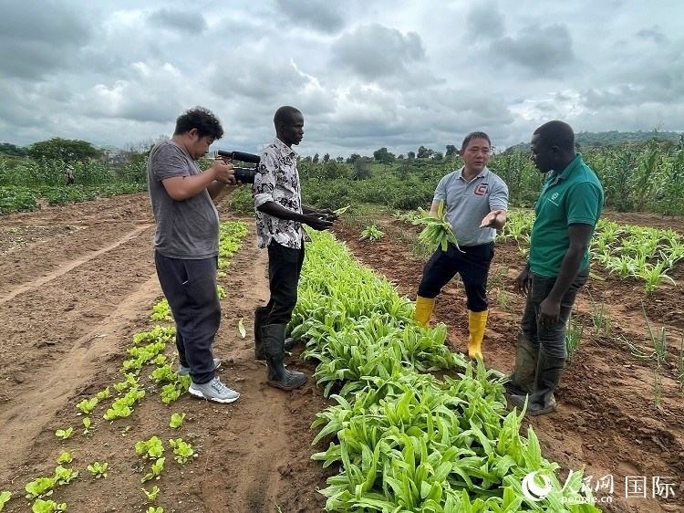 人民網(wǎng)記者走進(jìn)尼日利亞農(nóng)業(yè)技術(shù)示范中心。人民網(wǎng)記者 趙艷紅攝