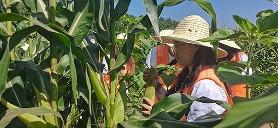 北京工商大學組織學生開展暑期社會實踐。學校供圖