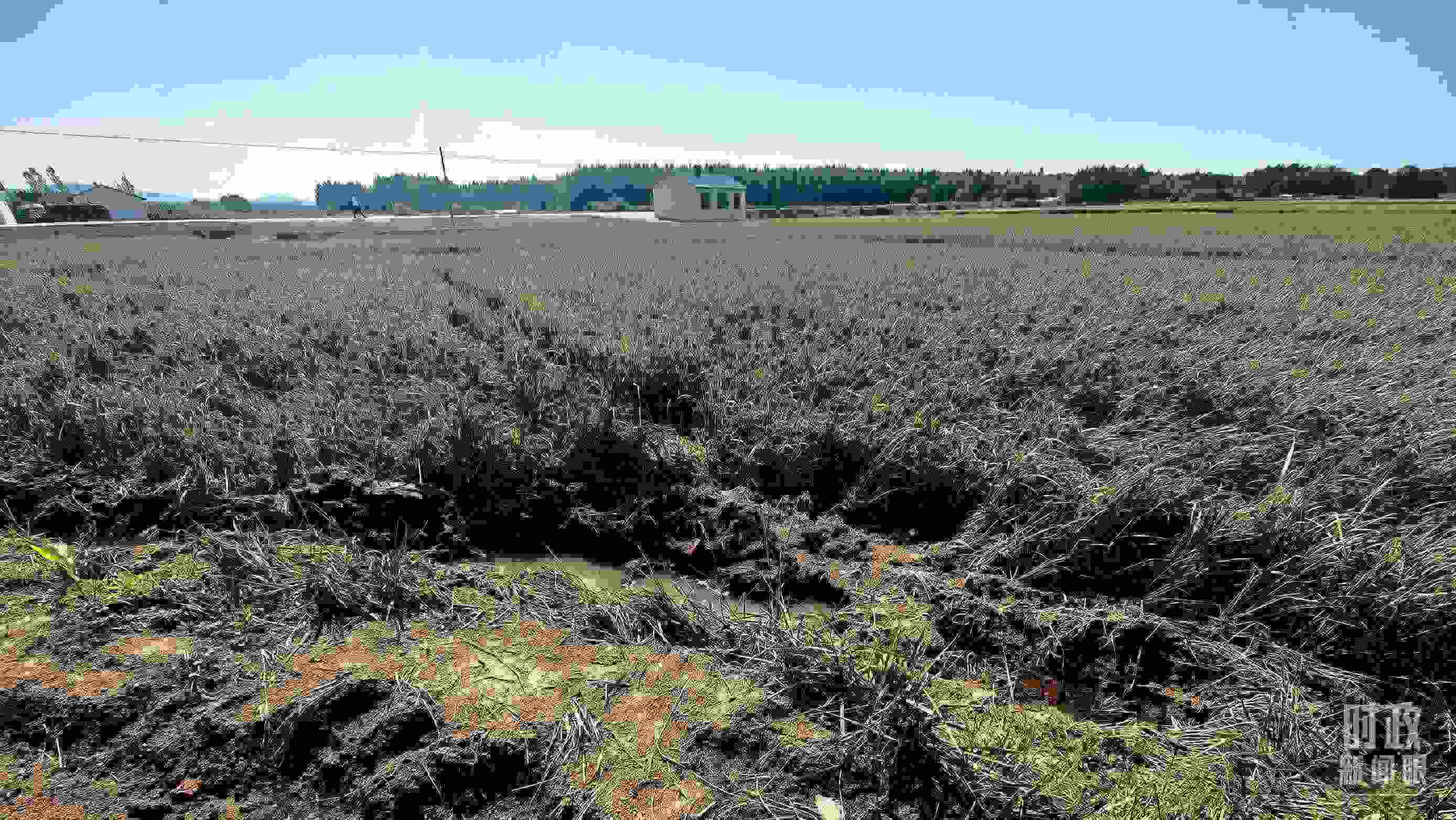 △圖為龍王廟村在洪災(zāi)中受損的農(nóng)田。（總臺央視記者史偉拍攝）