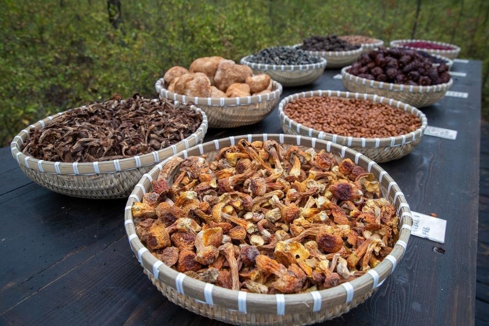 △近日，漠河市北極村一景區(qū)展示的林下產(chǎn)品。