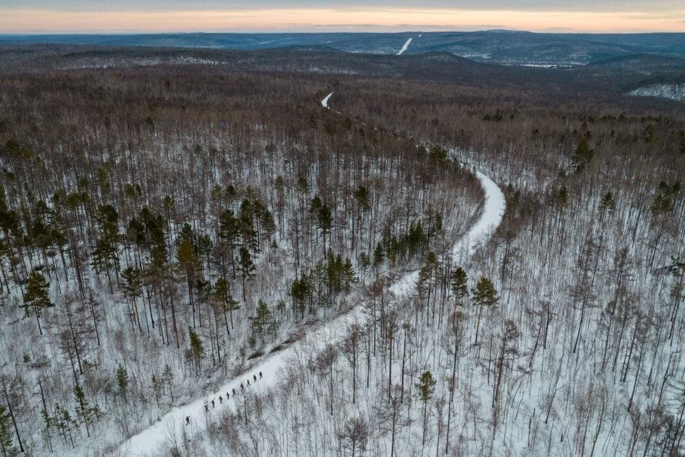 △2023年1月，漠河林場(chǎng)數(shù)十名職工自發(fā)組成的森林撫育隊(duì)伍，在人跡罕至的山林中作業(yè)。