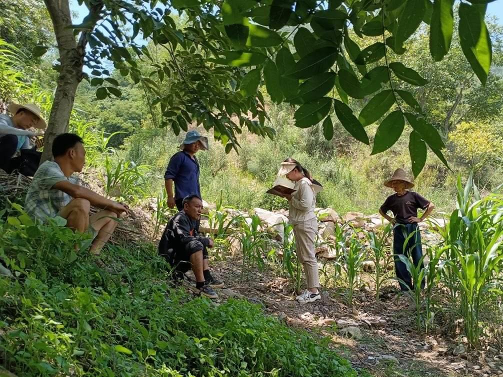 2023年7月18日，兩家村民發(fā)生土地方面的糾紛，李江女（右二）在記錄情況。受訪者供圖