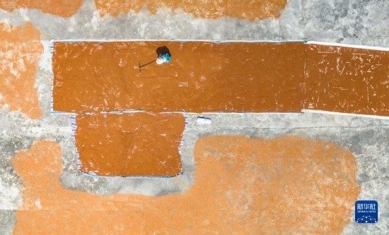 9月16日，農(nóng)民在貴州省安順市西秀區(qū)大西橋鎮(zhèn)吉昌村晾曬高粱（無人機照片）。