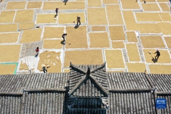 9月16日，村民在貴州省黔東南苗族侗族自治州從江縣剛邊壯族鄉(xiāng)三聯(lián)村晾曬稻谷（無人機照片）。