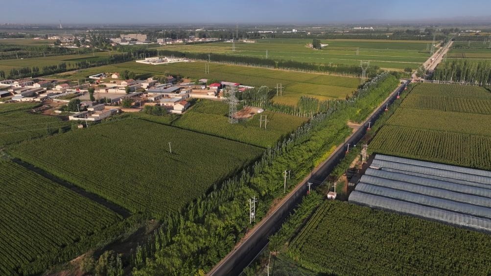 東興村周邊建起防護(hù)林網(wǎng)（無人機(jī)照片，2023年9月12日攝）。新華社記者李云平 攝