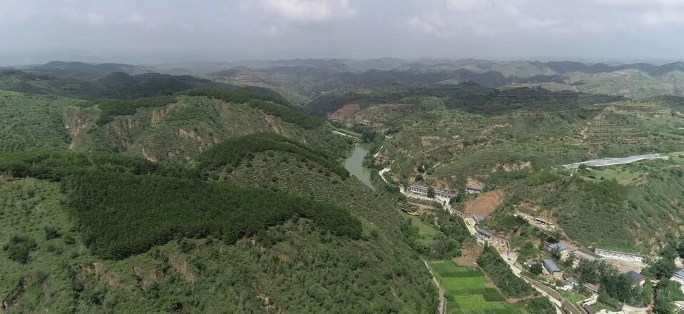 黃土溝壑中的高西溝村滿眼綠色（無人機(jī)照片，2023年7月26日）。新華社記者陳昌奇 攝