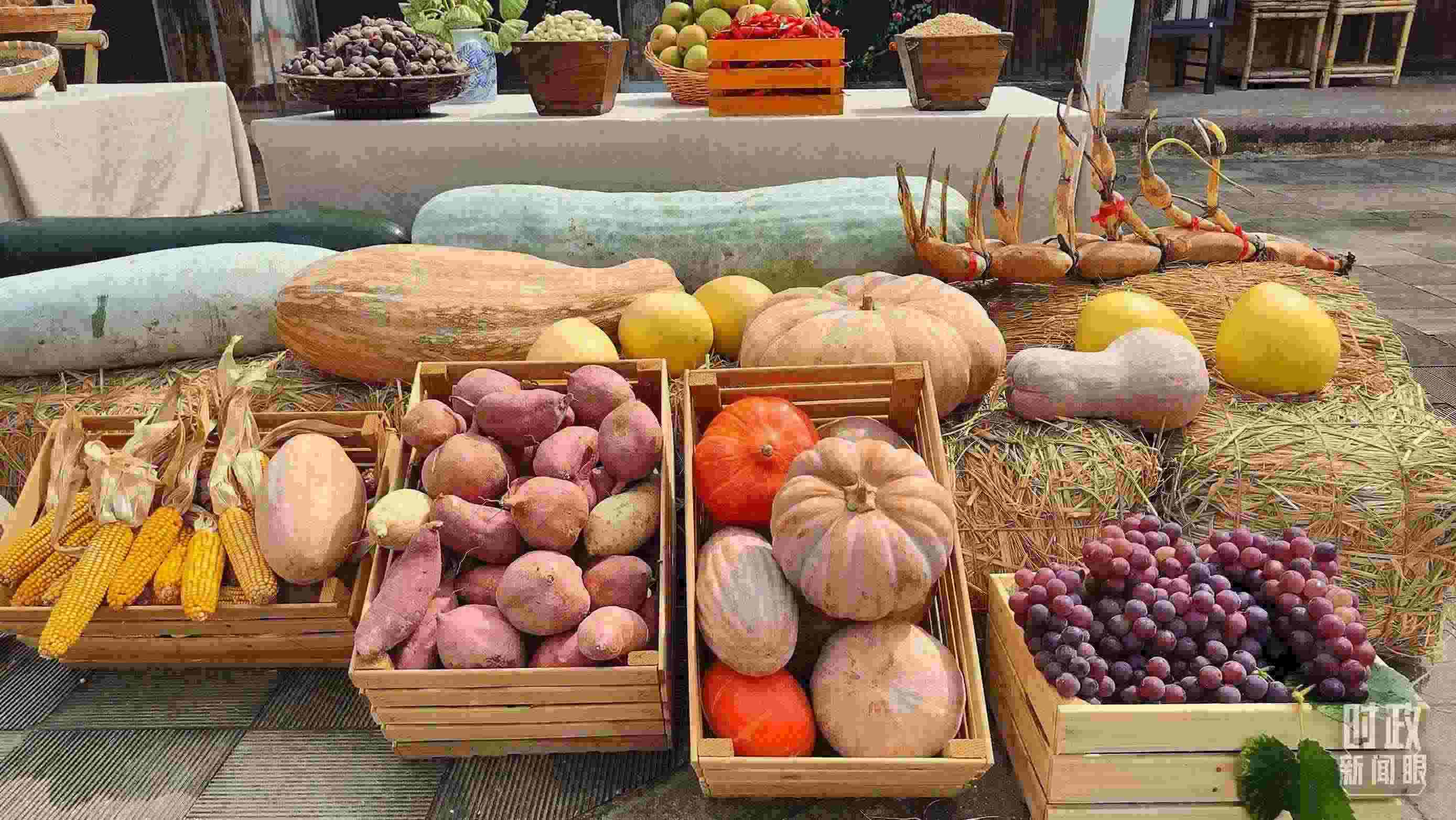 △村廣場(chǎng)“共富市集”，擺放著種類(lèi)豐富的特色農(nóng)產(chǎn)品。（總臺(tái)央視記者楊立峰拍攝）