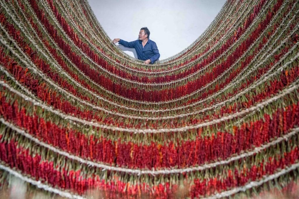 在貴州省畢節(jié)市大方縣理化鄉(xiāng)金雞村，村民查看辣椒烘干情況。新華社發(fā) 羅大富攝