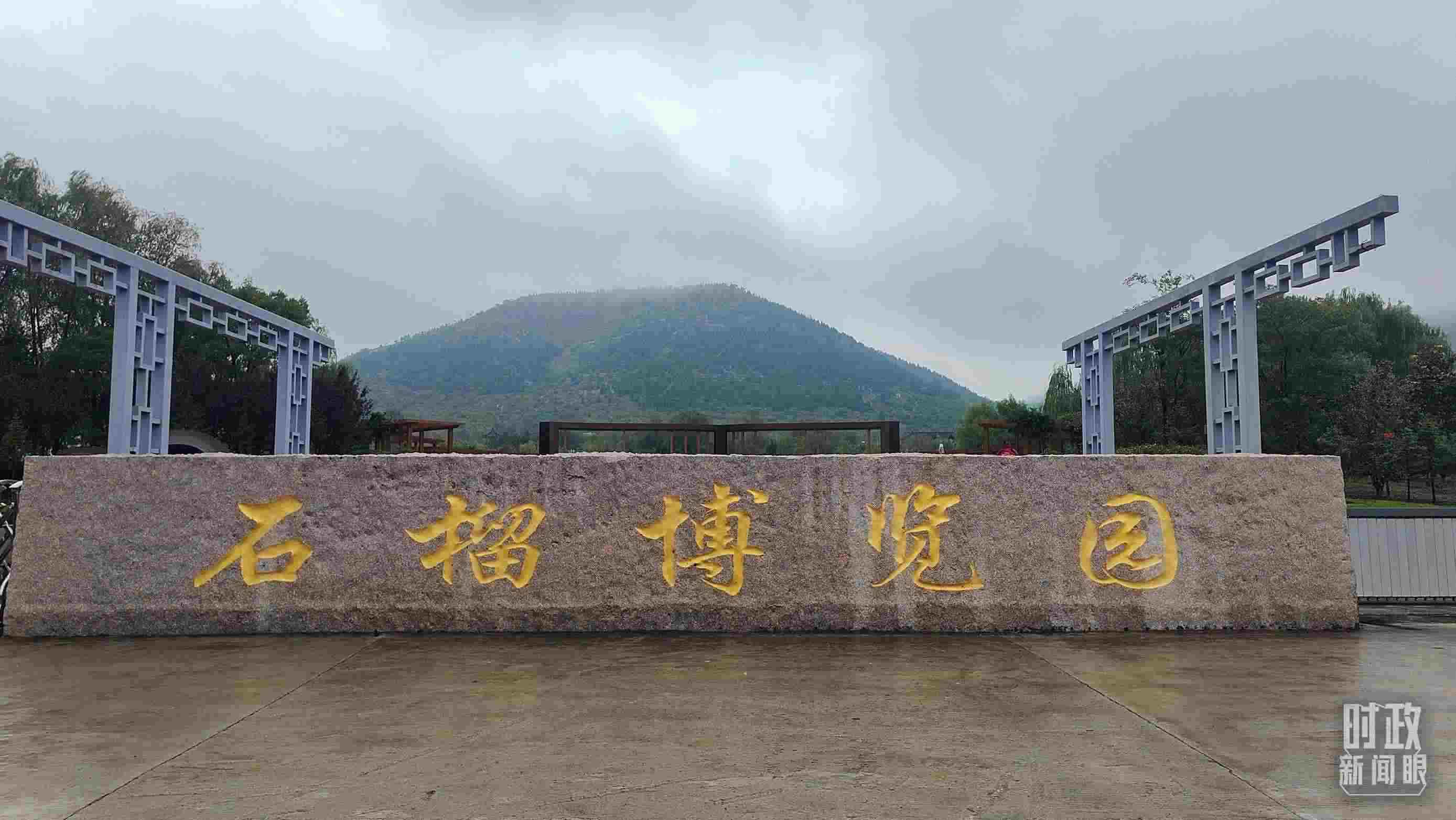 △石榴種質(zhì)資源庫位于石榴博覽園內(nèi)。（總臺央視記者楊立峰拍攝）