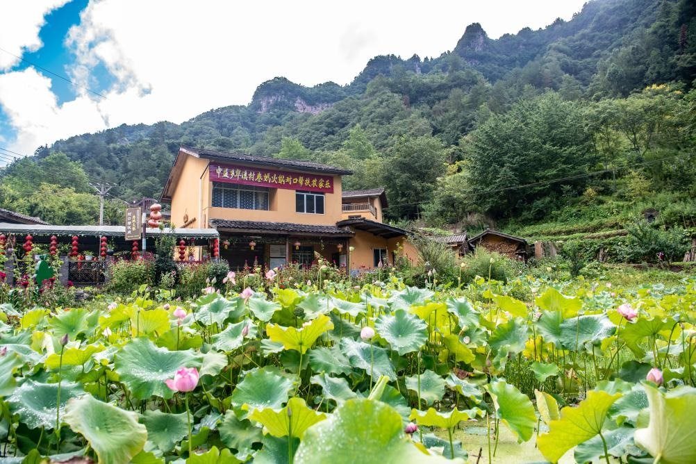 這是8月28日拍攝的華溪村村民開設(shè)的農(nóng)家樂外景。新華社記者 唐奕 攝