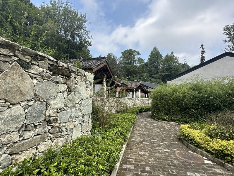 眾多民宿坐落于夫子山山麓。人民網(wǎng) 王紹紹攝