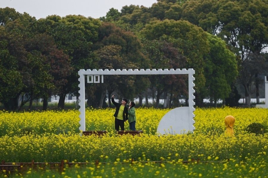 游客在浙江嘉興市秀洲區(qū)王店鎮(zhèn)鎮(zhèn)中村的“青青樂(lè)地”農(nóng)耕文化園內(nèi)游玩（2023年4月3日攝）。