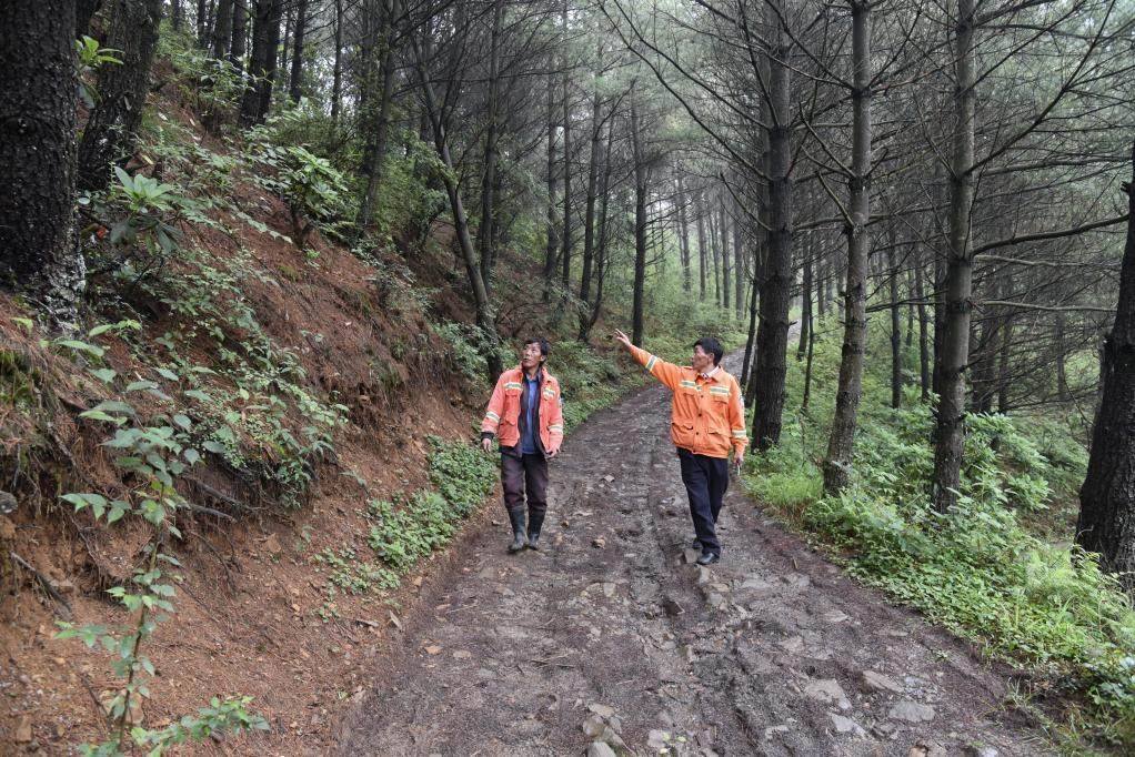 海雀村生態(tài)護(hù)林員馬正安（左）和海雀村林管員王光德（右）在日常巡山護(hù)林。新華社記者 李凡 攝