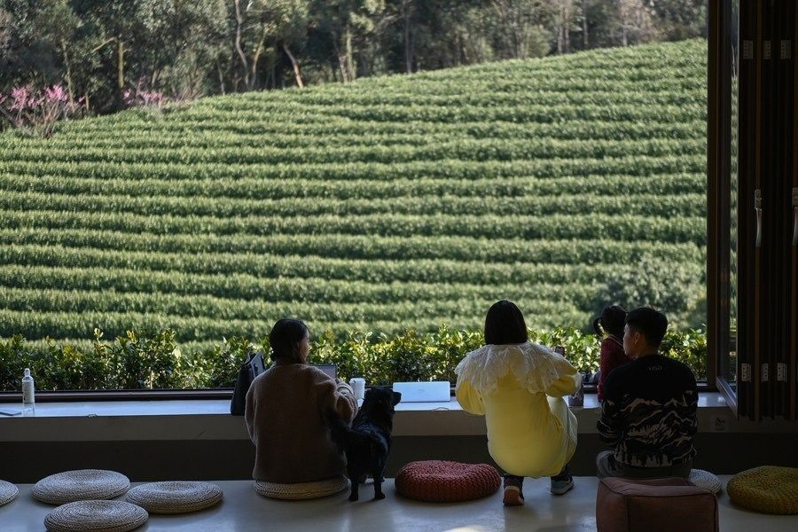 游客在浙江省安吉縣黃杜村萬(wàn)畝茶園邊的咖啡館休閑（2023年2月21日攝）。