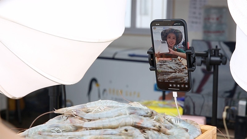 江蘇連云港，村民進(jìn)行直播銷售。范堯攝