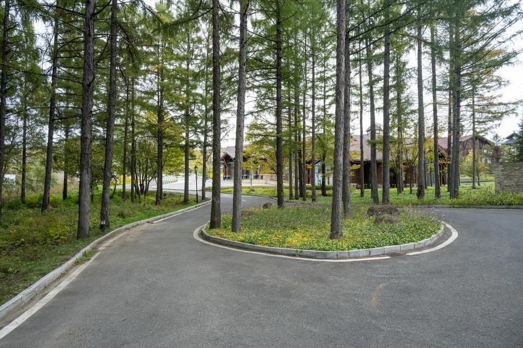 園區(qū)里“路讓樹(shù)”成為行為準(zhǔn)則。王哲攝