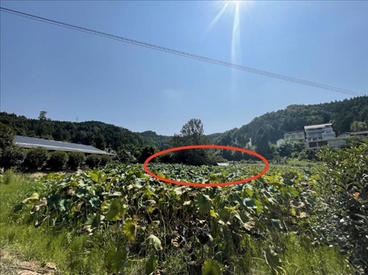 曾經(jīng)的圣水園所在地。 人民網(wǎng)記者 楊喬攝